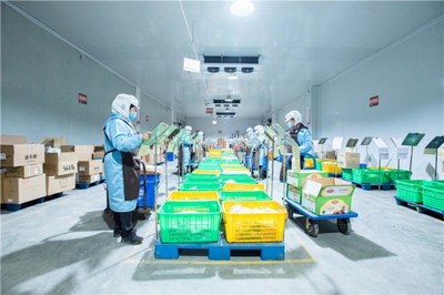 淳百味 傳承與創新并舉，邁入沙縣小吃食品經營新征程
